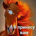  .,  -  11  2019    