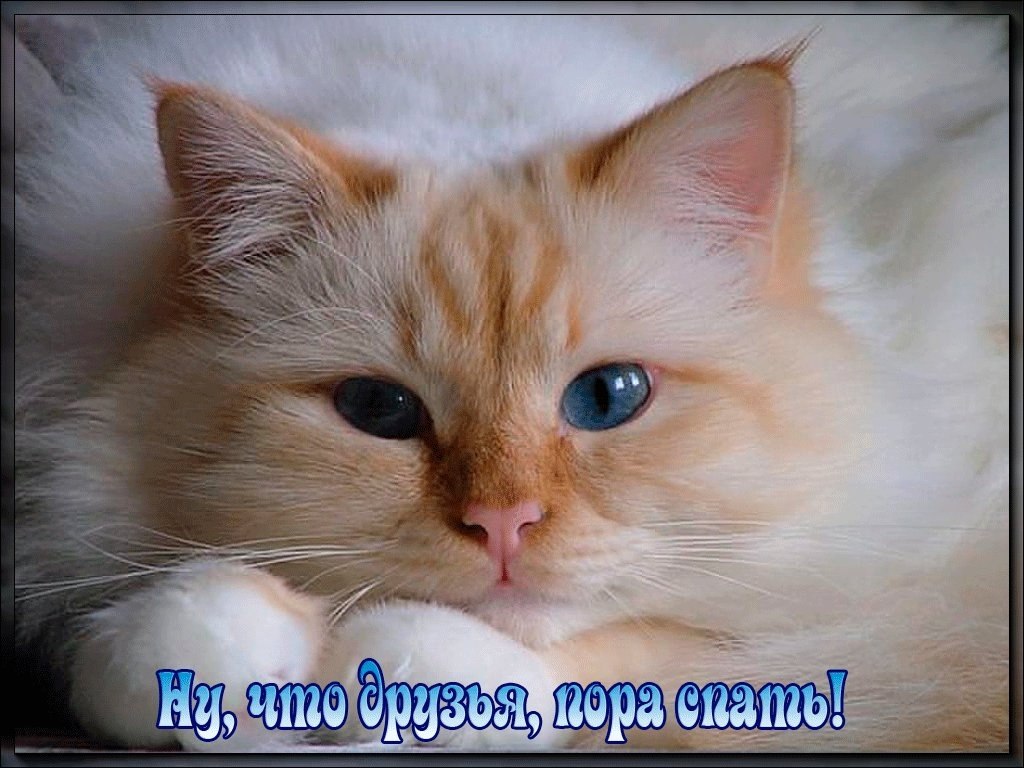   ,    . - 15  2019  21:21