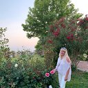 ���� ����, �������� - ��������� 29 ���� 2019 � ������ ���� ����������