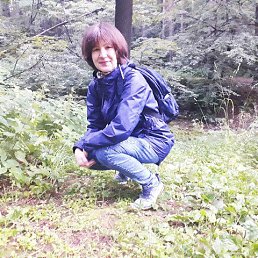 , 61, 