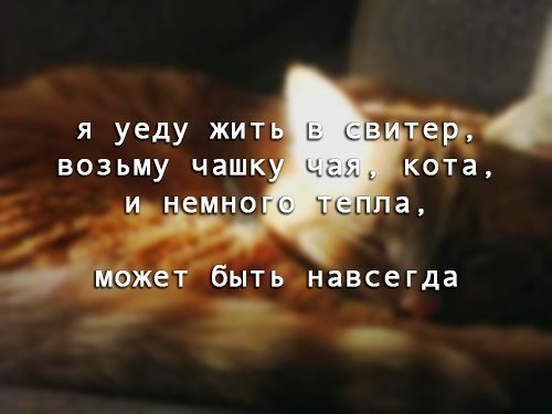    - 6  2019  03:30