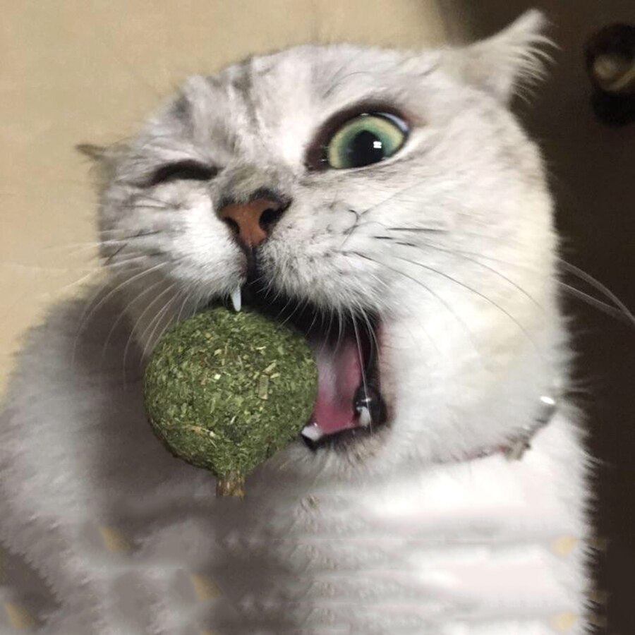        - 7