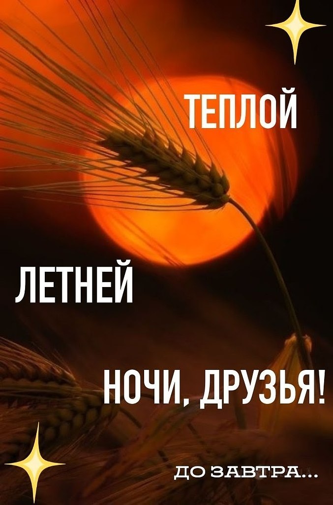   ,    . - 23  2019  21:08