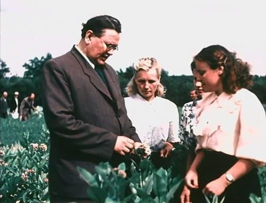     .   1953  - 6