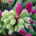 ���� ��������, ������, 70 ��� - ��������� 27 ��� 2019 � ������ ������ ��������