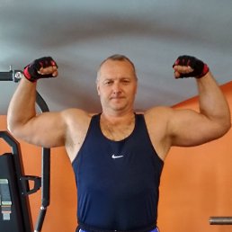 Bars, ������, 50 ���