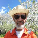 ���� �����, ������ ���, 71 ��� - ��������� 18 ��� 2019 � ������ ���� ����������