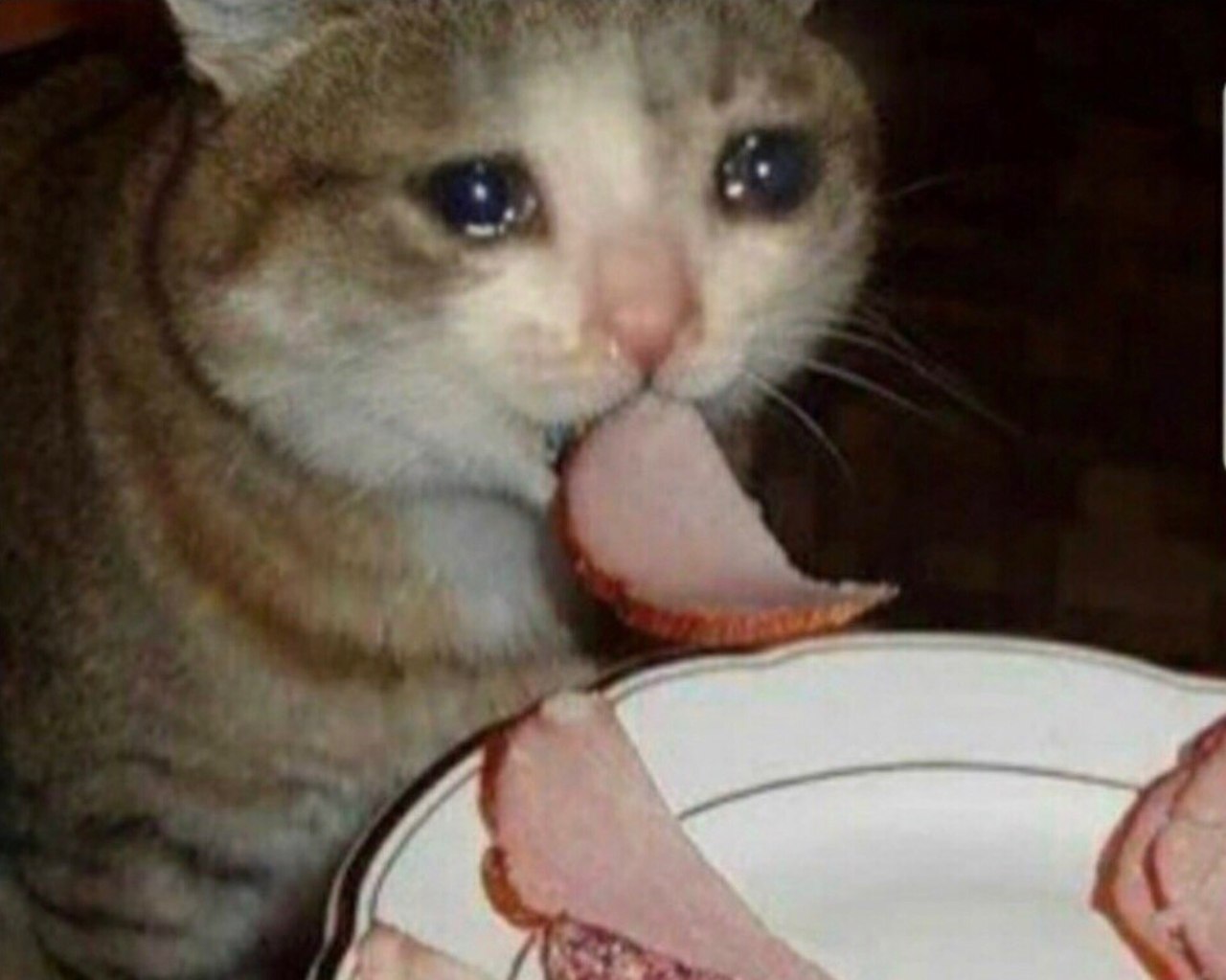   ,    ,       ,     