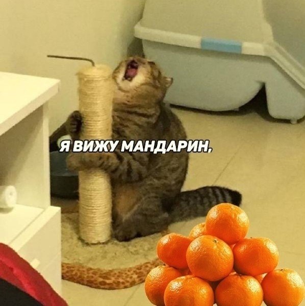     - 2