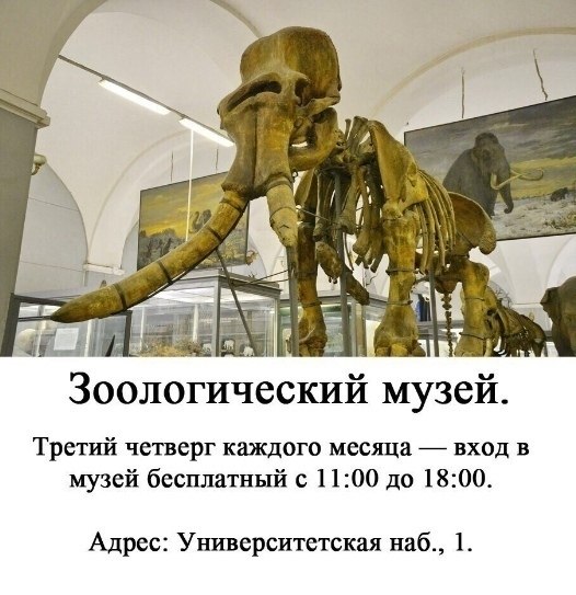 Гpaфик пeтepбургcких музeeв, когда в них можно попасть беcплатнo. - 3