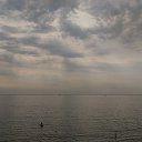 , ,15.08.19.8.55.    - 2019