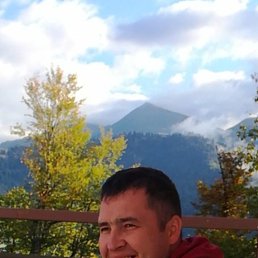 ����, ������ ��������, 44 ����