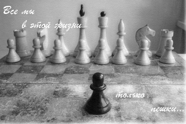   ! - 14  2019  12:31
