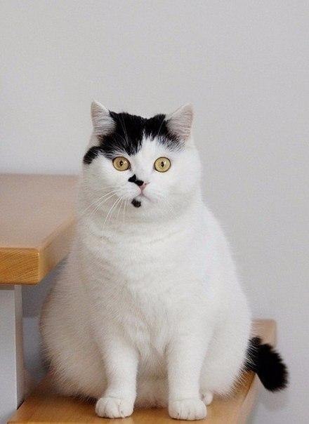        : - 3