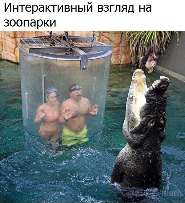  - 26  2019  03:53