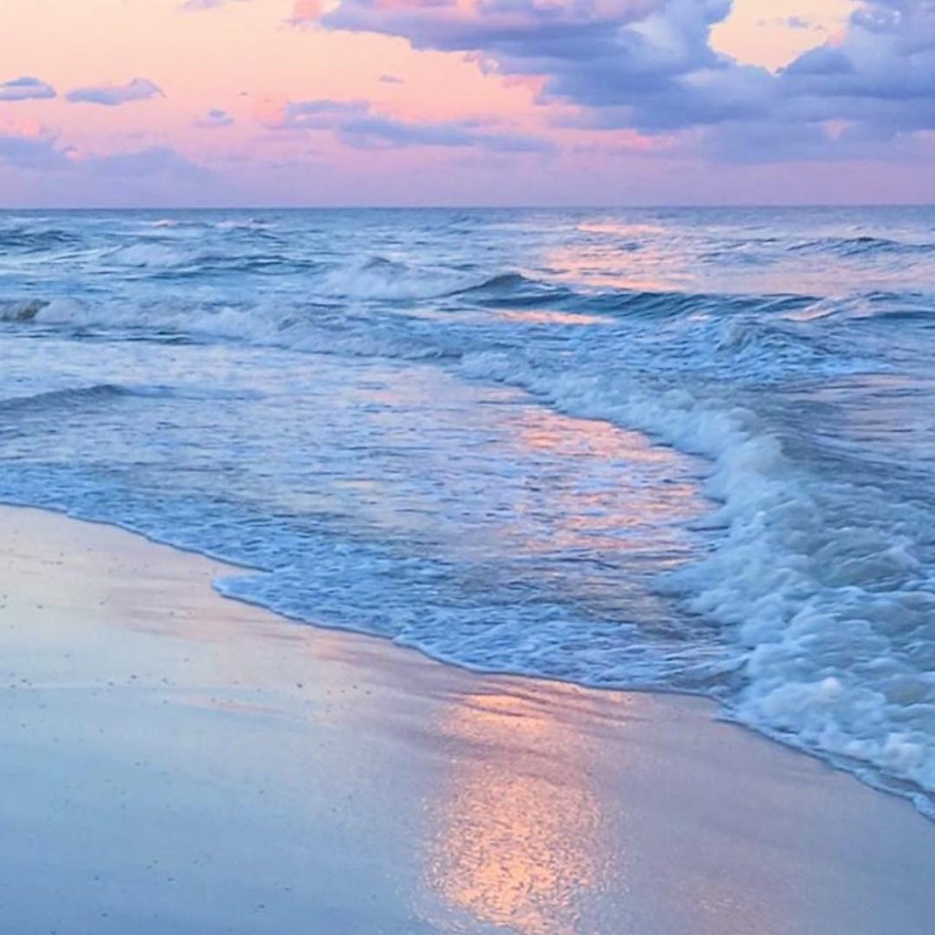 Florida, USA - 5