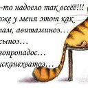 ���� ������, �������� - ��������� 4 ��� 2019 � ������ ���� ����������