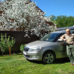 ���� ��������, ������ - ��������� 29 ��� 2019