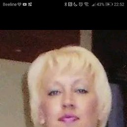 ����, ���������, 55 ���