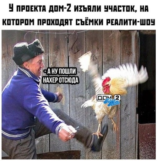  - 17  2019  03:19