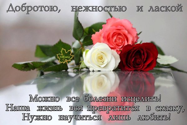   ,    . - 6  2019  23:29