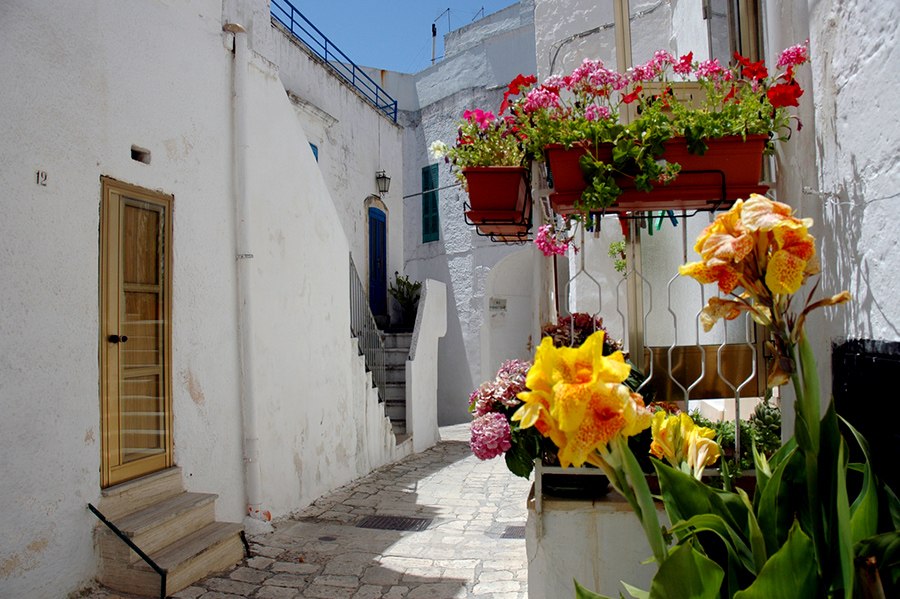 (Ostuni),. -      ,  " ... - 8