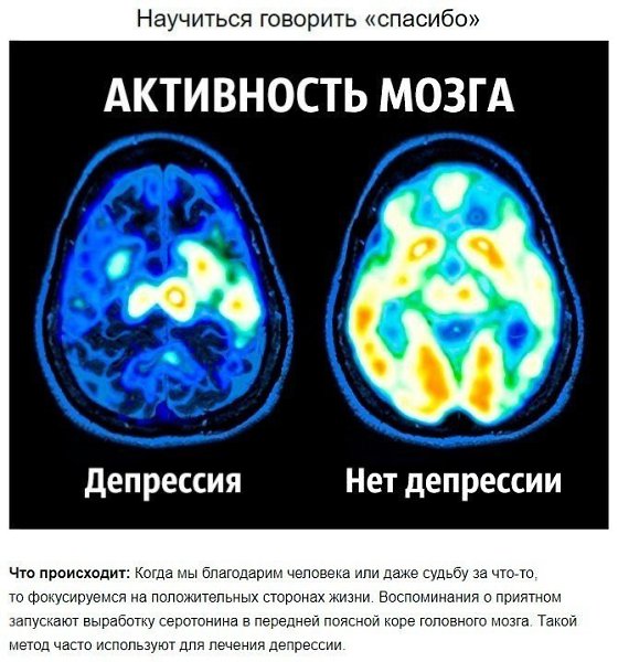 Как чувствовать себя счастливыми? Рекомендации от нейробиолога. #здоровье@thelady