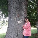 ���� �����, �������, 39 ��� - ��������� 8 ������� 2019 � ������ ���� ����������