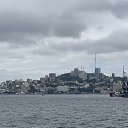  Serzh Van Der Maaremaan,  -  11  2019    