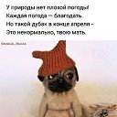 ���� ����������, �����-���������, 65 ��� - ��������� 4 ��� 2019 � ������ ���� ����������