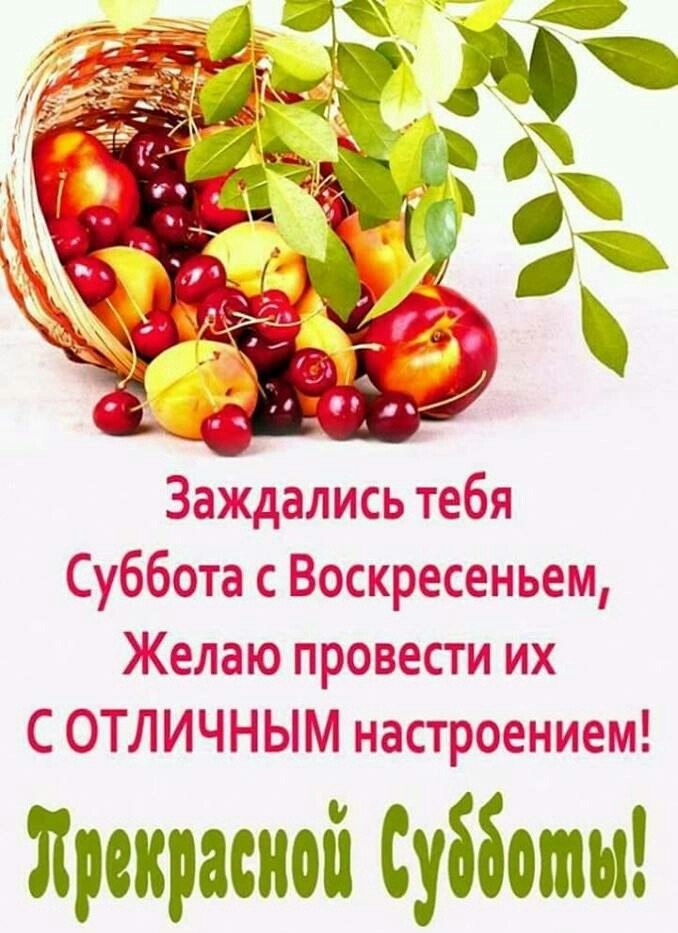   ,    . - 29  2019  09:18