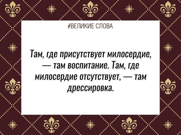   | ,    - 3  2019  03:33
