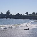  , , 70  -  12  2019   CA_2019_Capitola