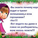 ���� ������, �����-���������, 61 ��� - ��������� 21 ������ 2019 � ������ ���� ����������
