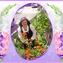 ���� �������, ������ ��������, 67 ��� - ��������� 31 ���� 2019 � ������ ������ ����� ���������