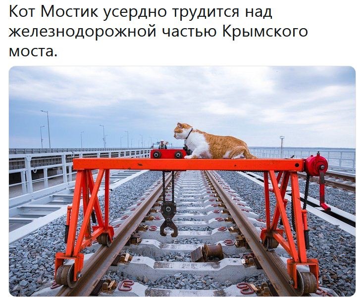 ������� - 15 ���� 2019 � 18:57