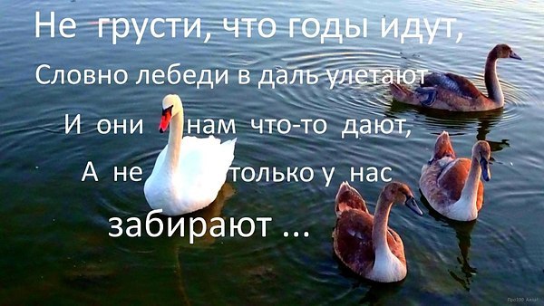  - 1  2019  07:06