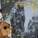 ���� ������, �������, 43 ���� - ��������� 18 �������� 2019