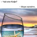  ,  -  16  2019    