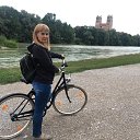 ���� ��������, ����������� - ��������� 22 ������� 2019 � ������ ���� ����������