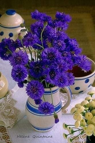   ,    . - 27  2019  09:42 - 2