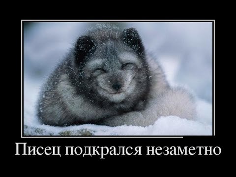 ***Victoria Viktorovna*** - 4  2019  09:27