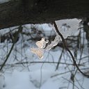 ���� �����, �����-��������� - ��������� 3 ������ 2019 � ������ ���� ����������