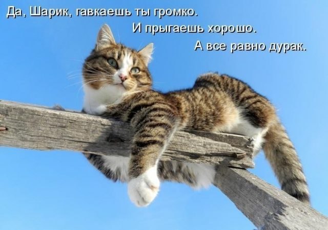 ***Victoria Viktorovna*** - 4  2019  09:35