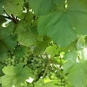 ���� �����, ������ - ��������� 13 ������� 2019 � ������ ���� ����������