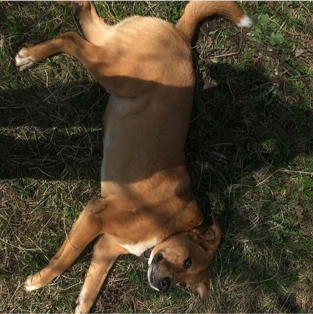  )))0