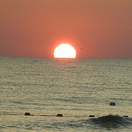 �����, ���������