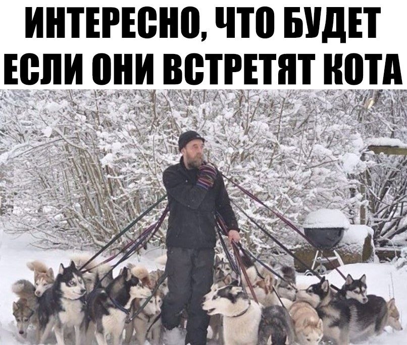    :D - 1  2019  17:25