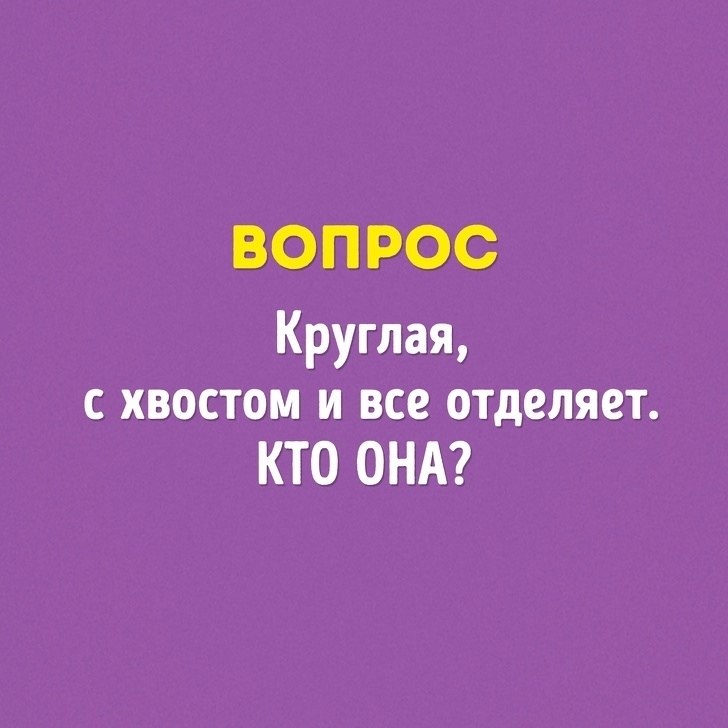  ,  ,   ,     - 7