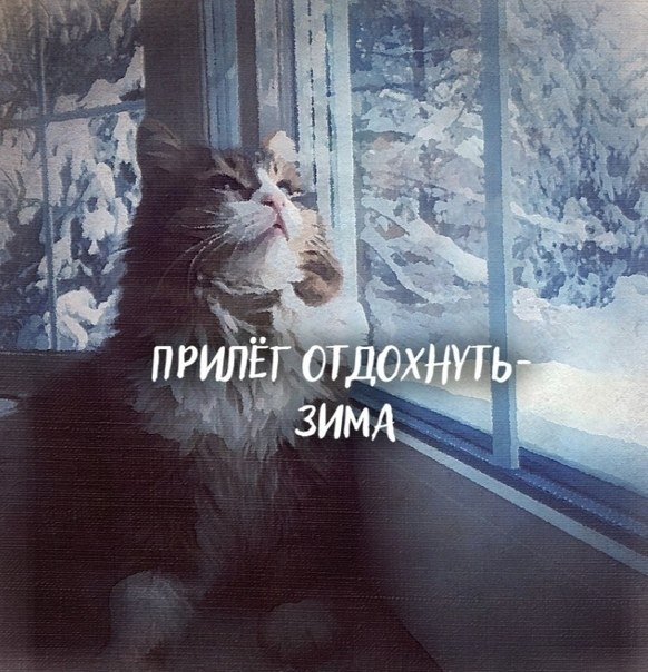     ... - 4